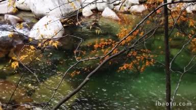 秋天的河里，落叶漂浮在水面上